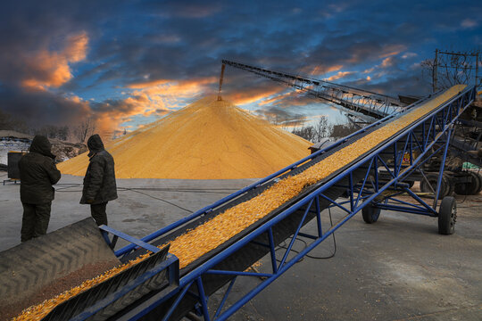 Grain corn drying storage loading
