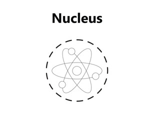 Atom. Scientific poster with atomic structure: nucleus of protons and neutrons, orbital electrons. Vector illustration. Symbol of nuclear energy, scientific research and molecular chemistry.