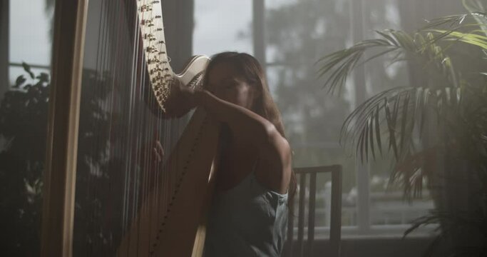 Graceful female harp player performing music in studio with obscure light
