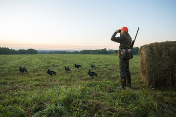 hunter looking through binoculars in meadow  at sunrise. hunter hunting birds in autumn season.