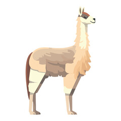 Fototapeta premium llama animal vector icon
