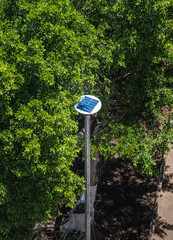 Lamp with solar panel in ecological park