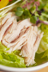 grilled chicken with salad