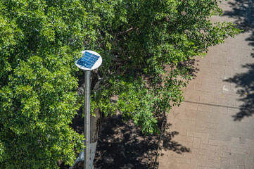 Lamp with solar panel in ecological park