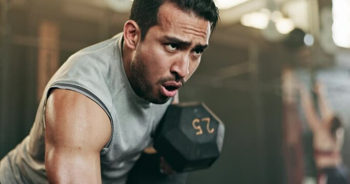 Serious man, dumbbell and weightlifting in workout, exercise or fitness at indoor gym. Active male person, bodybuilder or athlete lifting weight for intense arm training, strength or muscle at club