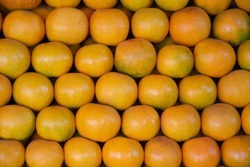 Tangerine oranges Green and orange for sale in the colorful fruit market.