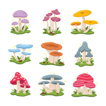 Set of mushroom illustration vector