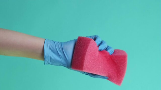 Vertical video. Surface cleaning. Housework tool. Janitor hand in professional latex gloves squeezing pink home dust removing sponge isolated on green background.