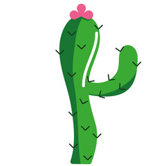 Ilustración de cactus. Sin fondo