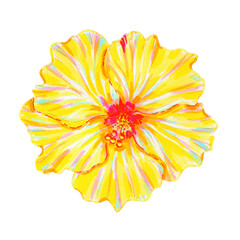 Watercolor hand drawn yellow Hawaiian hibiscus flower