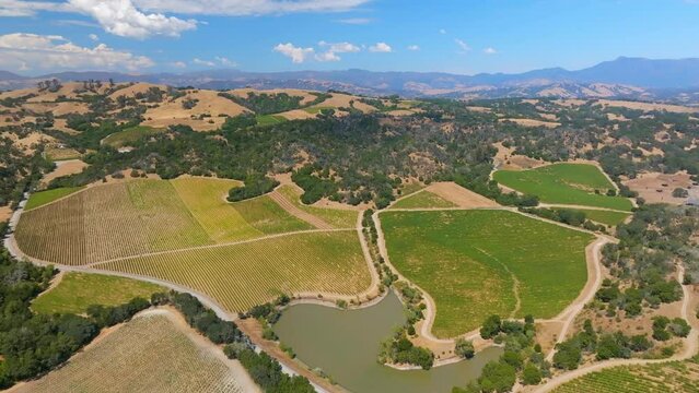 View from drone of endless fields of grape in Sonoma Vineyard, California. Picturesque places with beautiful landscape and clear blue sky