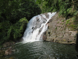 waterfall in the forest