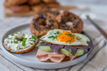 Assortment of freshly made bagels 