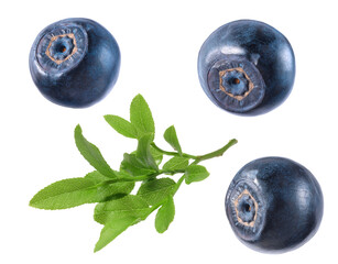 Set with fresh ripe bilberries and green leaves isolated on white