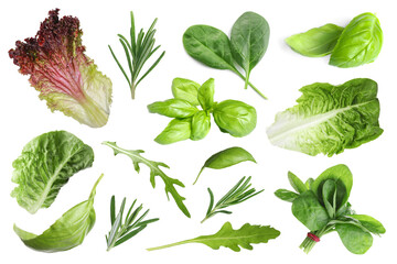 Set with greens isolated on white. Rosemary, leaves of lettuce, spinach, basil and arugula - obrazy, fototapety, plakaty