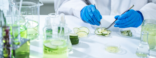 eco skin care beauty products in cosmetic laboratory development, Natural drug research with organic plant and scientific extraction in glassware, Alternative green herb medicine for body health care