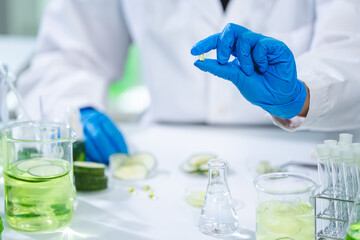 eco skin care beauty products in cosmetic laboratory development, Natural drug research with organic plant and scientific extraction in glassware, Alternative green herb medicine for body health care