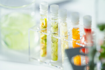 eco skin care beauty products in cosmetic laboratory development, Natural drug research with...