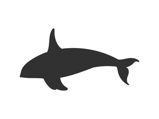 Orca or killer whale black silhouette icon, flat vector illustration isolated on white background.
