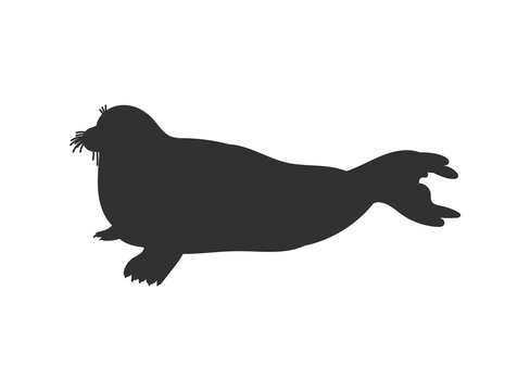 Seal or sea calf mammal animal stencil silhouette vector illustration isolated.