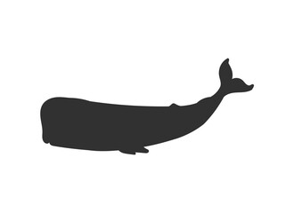 Vector black silhouette illustration of cashalot, isolated on white background