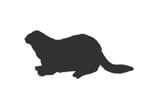 Vector black silhouette illustration of sea otter, isolated on white background