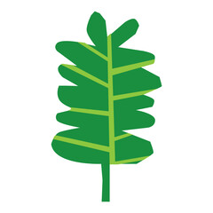 Leaf flat illustration