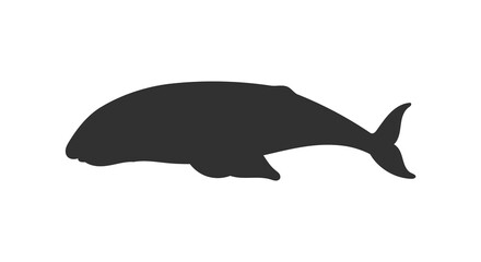 Baleen whale black shape silhouette image, vector illustration isolated.