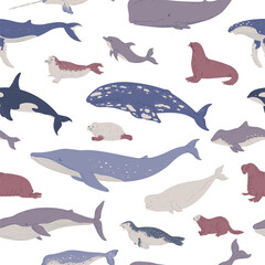 Marine mammals seamless pattern, flat vector illustration on white background.