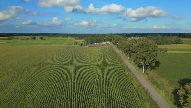 Drone forward over crop fields planted in line with road perspective