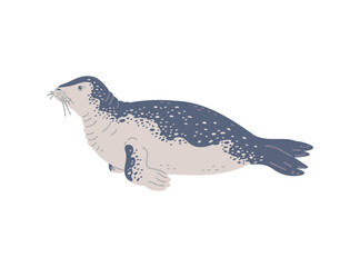 Vector illustration of leopard seal, in hand drawn style isolated on white background