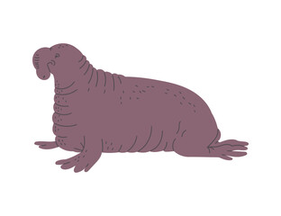 Vector illustration of elephant seal, in hand drawn style isolated on white background