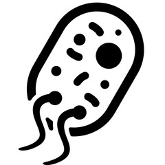 Bacteria