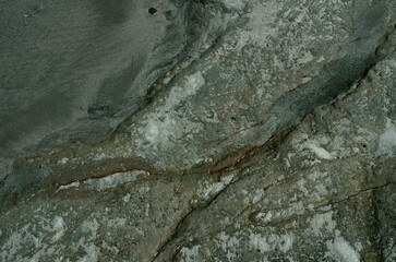 砂の浜辺、そこにはまるで見知らぬ世界が広がっている。広大な草木の未だ育たない岩石や岩や砂礫だけの原初の地球、時には不毛の大平原のようでもあり、母なる水を蓄えた優しく美しい地球の表面のようでもある。またある時には、地球の奥底を覗いているような恐れ、おののき、うめき声すらも聞こえてくる。混沌とした世の中、地球温暖化という重大な危機を迎え、この母なる地球が、今、悲鳴を上げている。私たちは何をなすべきか。