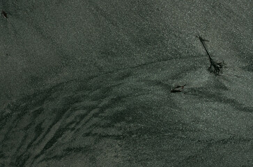 砂の浜辺、そこにはまるで見知らぬ世界が広がっている。広大な草木の未だ育たない岩石や岩や砂礫だけの原初の地球、時には不毛の大平原のようでもあり、母なる水を蓄えた優しく美しい地球の表面のようでもある。またある時には、地球の奥底を覗いているような恐れ、おののき、うめき声すらも聞こえてくる。混沌とした世の中、地球温暖化という重大な危機を迎え、この母なる地球が、今、悲鳴を上げている。私たちは何をなすべきか。