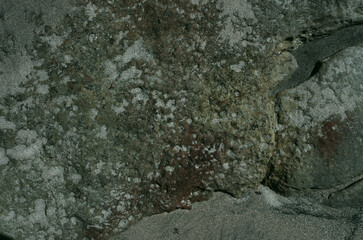 砂の浜辺、そこにはまるで見知らぬ世界が広がっている。広大な草木の未だ育たない岩石や岩や砂礫だけの原初の地球、時には不毛の大平原のようでもあり、母なる水を蓄えた優しく美しい地球の表面のようでもある。またある時には、地球の奥底を覗いているような恐れ、おののき、うめき声すらも聞こえてくる。混沌とした世の中、地球温暖化という重大な危機を迎え、この母なる地球が、今、悲鳴を上げている。私たちは何をなすべきか。