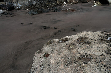 砂の浜辺、そこにはまるで見知らぬ世界が広がっている。広大な草木の未だ育たない岩石や岩や砂礫だけの原初の地球、時には不毛の大平原のようでもあり、母なる水を蓄えた優しく美しい地球の表面のようでもある。またある時には、地球の奥底を覗いているような恐れ、おののき、うめき声すらも聞こえてくる。混沌とした世の中、地球温暖化という重大な危機を迎え、この母なる地球が、今、悲鳴を上げている。私たちは何をなすべきか。