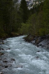 Beautiful view of river flowing among forest in mountains