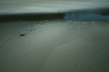 砂の浜辺、そこにはまるで見知らぬ世界が広がっている。広大な草木の未だ育たない岩石や岩や砂礫だけの原初の地球、時には不毛の大平原のようでもあり、母なる水を蓄えた優しく美しい地球の表面のようでもある。またある時には、地球の奥底を覗いているような恐れ、おののき、うめき声すらも聞こえてくる。混沌とした世の中、地球温暖化という重大な危機を迎え、この母なる地球が、今、悲鳴を上げている。私たちは何をなすべきか。