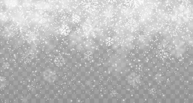 Winter snow fall overlay effect, Christmas holiday snowy background, snowflakes snowfall. Isolated vector realistic falling snow and steam on transparent backdrop. Xmas pattern, texture, snowstorm