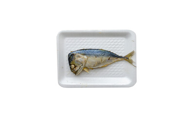 one steamed mackerel on a white foam pad, Thai food. on transparent background