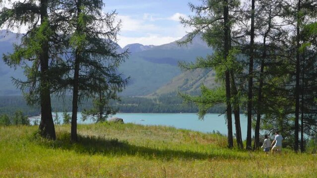 Couple walks in grass sparse woodland to kanas lake xinjiang overlook, holding hands in love, hugging