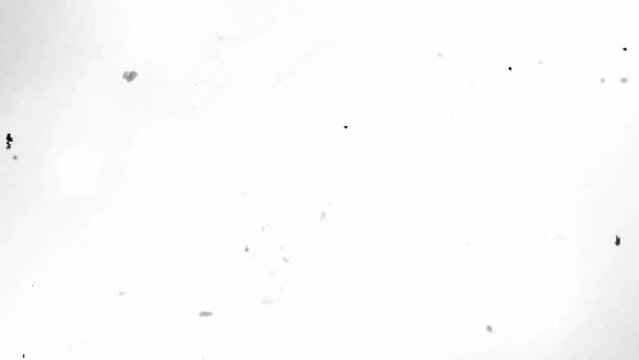 Mask Overlay of Old Film with Surface Scratches and Noise