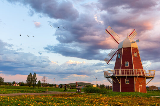 The beauty of the prairie