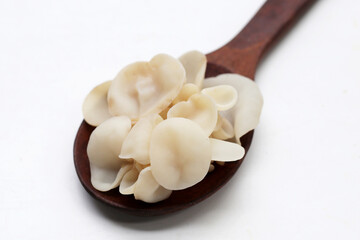 White jelly mushroom or white ear mushroom