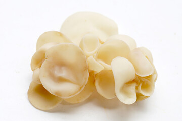 White jelly mushroom or white ear mushroom