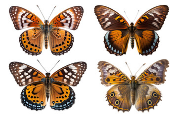 Vibrant And Beautiful Isolated Butterfly Collection With Striking Patterns - Generative AI