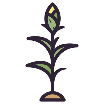 recommend clip art: corn plant illustration