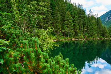 Obraz premium Spruce forest near blue lake in mountains. Tatra National Park in Poland. Panoramic view on Morskie Oko or Sea Eye lake in Five lakes valley. Nature landscape