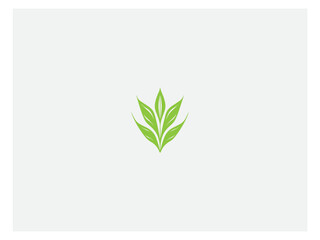 Obraz premium Corn plant logo vector, logo design, vector and illustration,